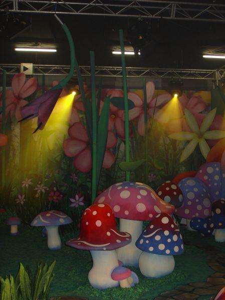 'The Fairies' - Garden
Mushrooms
