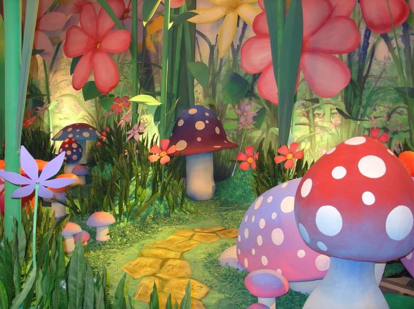 'The Fairies' - Garden
Mushrooms, flowers and mounds
