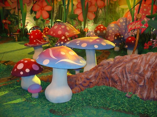 'The Fairies' - Garden
Large tree root and mushrooms
Keywords: showcase_tt