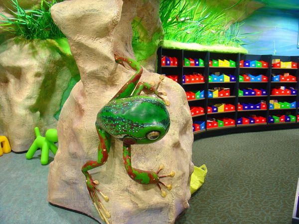 Themed Area - Mt Gambier Library
Frog sculpture on the rock feature dividing the book collection and the activity area

